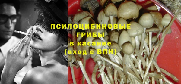 ПСИЛОЦИБИНОВЫЕ ГРИБЫ Армянск