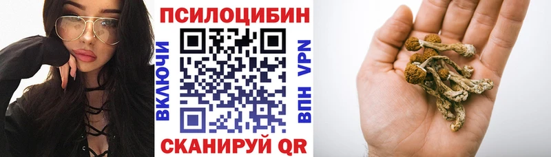 Галлюциногенные грибы ЛСД Кондрово